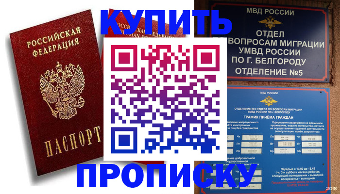 прописка иностранных граждан в Долгопрудном